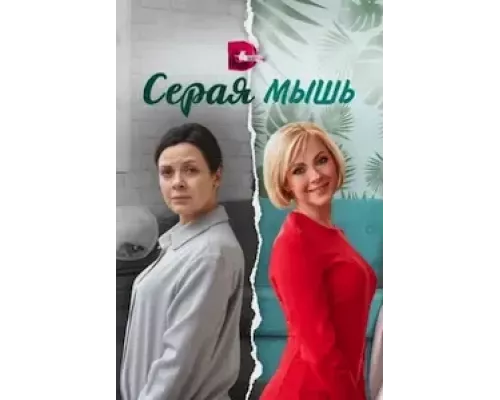 Серая мышь 1 сезон Серая мышь 1 сезон