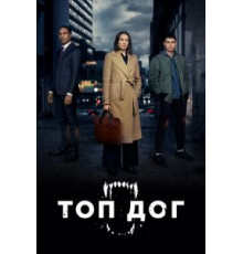 Топ дог 1-2 сезон  (2020)