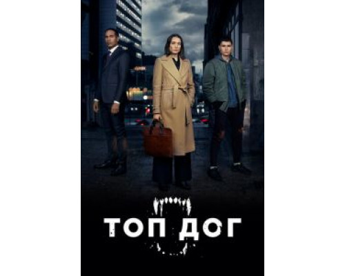 Топ дог 1-2 сезон Топ дог 1-2 сезон